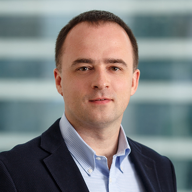 Дмитрий Лобасев, Agile-консультант