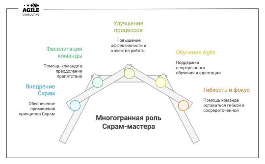 Роль Скрам-мастера в современной команде